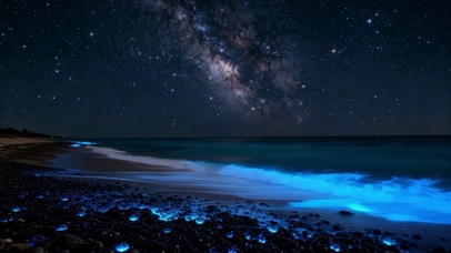 梦幻蓝海岸星空银河夜景