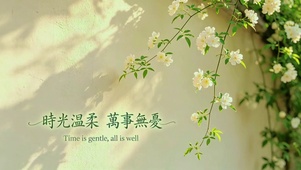 时光温柔，万事无忧