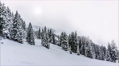 【消暑降温专题】航拍雪地森林