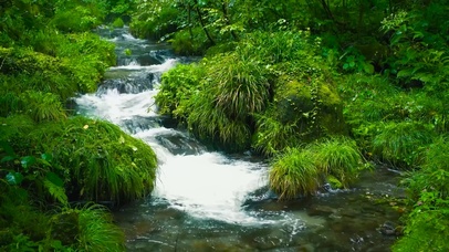 护眼山间绿草溪水