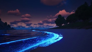 荧光海