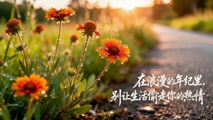 晨露野花 励志治愈风景