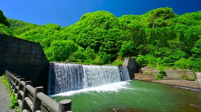 夏天护眼绿林水渠