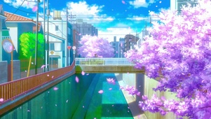 唯美樱花街道