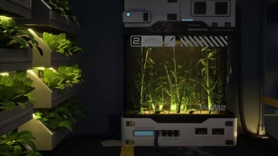 室内花园里的雨