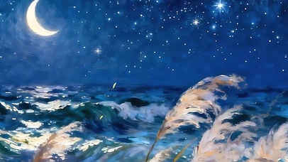 夜景树木海景双屏