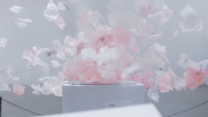 王源花瓣