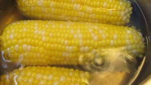 【4K】苞米熟了开饭喽
