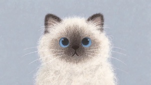 逻辑猫
