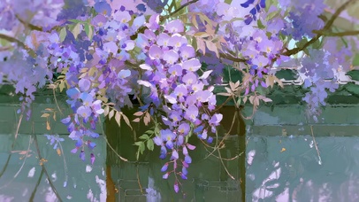春天的紫藤花