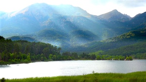高山绿草河流
