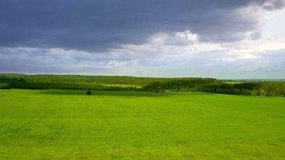 4K护眼绿色草地