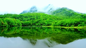 4K治愈护眼山水
