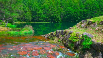 4K夏日青山绿水湖