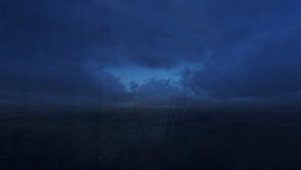 4K暴风雨