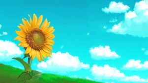向日葵