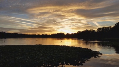 鹿湖上美丽的日落