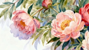护眼花朵带鱼屏
