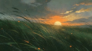 夕阳花草树木