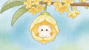 雨天树枝猫咪