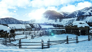 唯美雪景