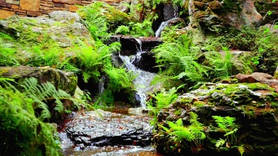 4K唯美治愈小溪流水