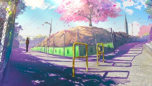 转角樱花飘落