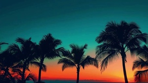 唯美治愈 夕阳下的美景