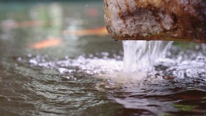 4k唯美夏日水滴水流
