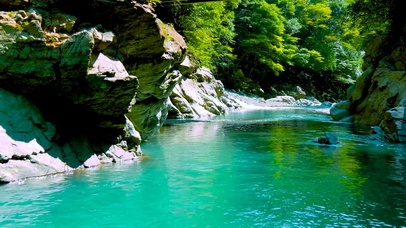 清澈护眼绿林山涧