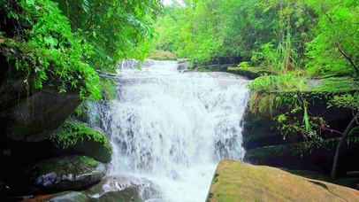 唯美绿林山涧4K