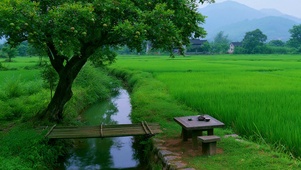 治愈风景壁纸