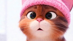 猫咪