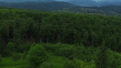 4K 高清  航拍绿色森林和山
