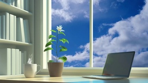 唯美治愈阳光4K