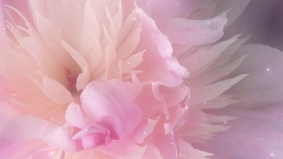 清新养眼唯美壁纸