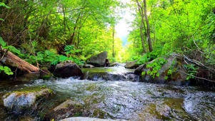 4k river