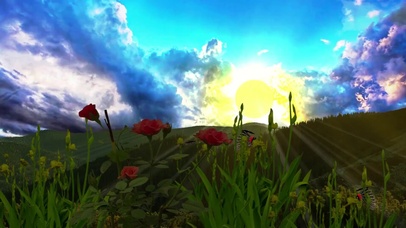 蝴蝶 山 森林 云 地平线