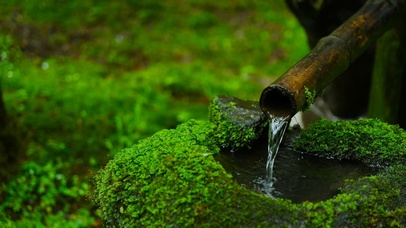 青苔溪流