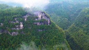 青山云雾