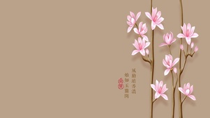 玉兰花