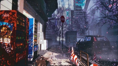 樱花飞舞 东京街道