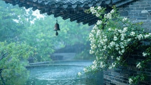 古风雨中凋零