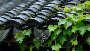雨滴屋顶带鱼屏
