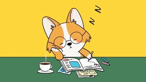 打瞌睡萌狗