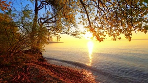 秋天红叶夕阳湖畔