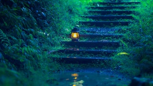 幽静雨景