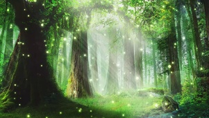 梦幻森林