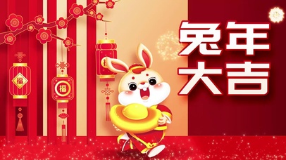 新年兔年大吉抱元宝兔子灯笼