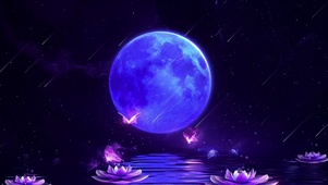中秋月圆